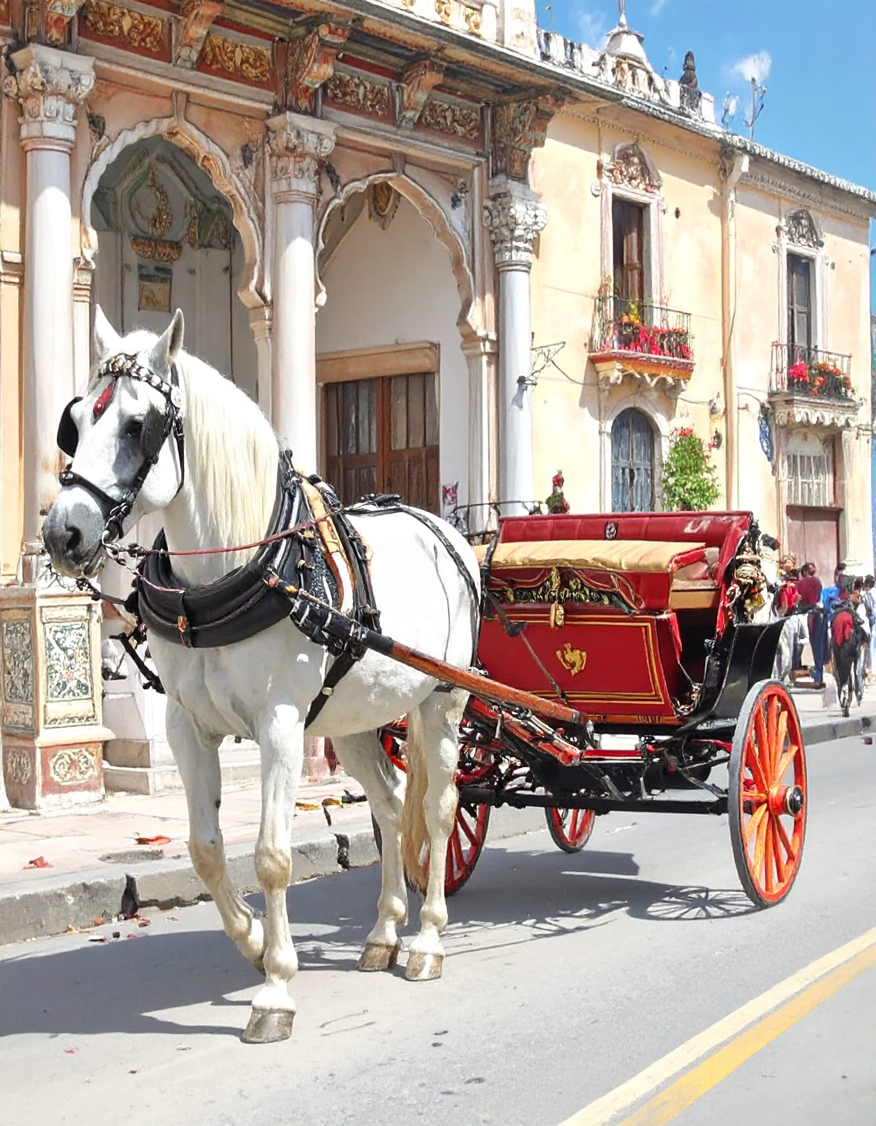 Mare & Rebel (घोड़ी और बघी)